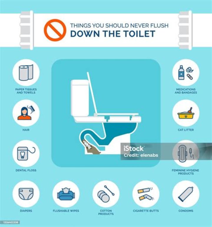 15 Surprising Things You Should Never Flush