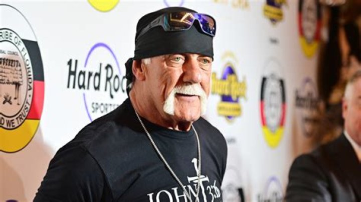 20 Years Ago Hulk Hogan Chose To Endorse A Meatball Maker Over An Innovative New Grill... And Cost Himself $200 Million