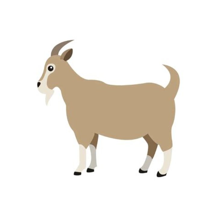 37 Awesome Emoji Meanings Guaranteed to Change the Way You Text