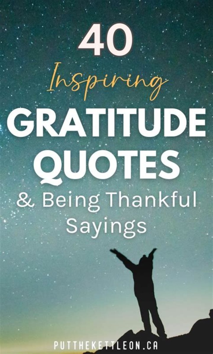 40 Gratitude Quotes to Inspire You