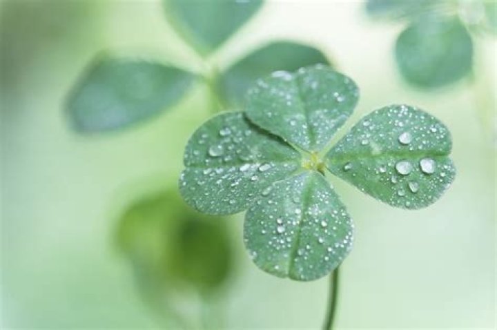 50 "Rare" Events That Happen All the Time — Best Life