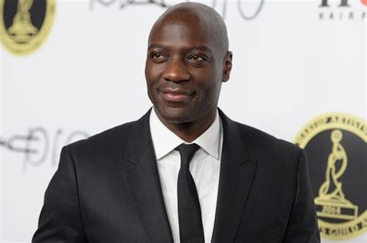 Adewale Akinnuoye-Agbaje Net Worth | Celebrity Net Worth