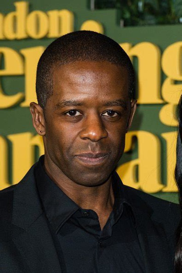 Adrian Lester Net Worth | Celebrity Net Worth
