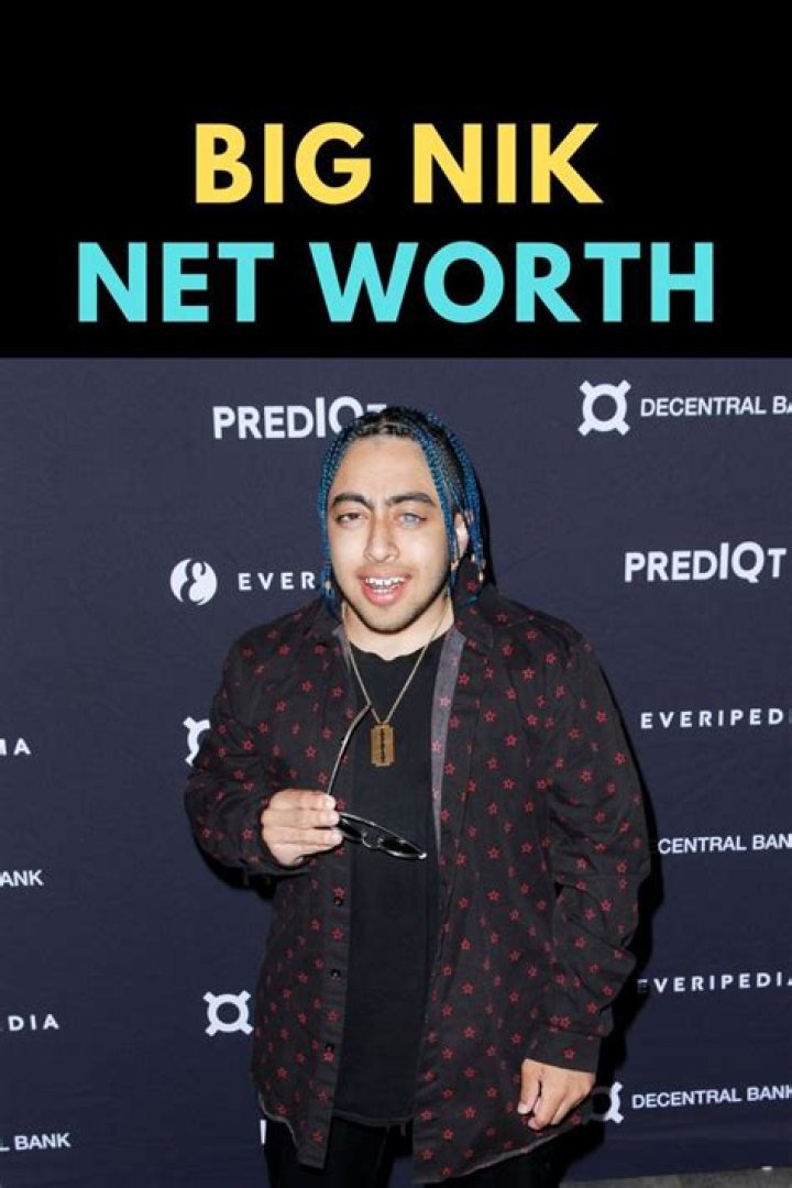 Big Nik net worth, income and estimated earnings of Youtuber channel