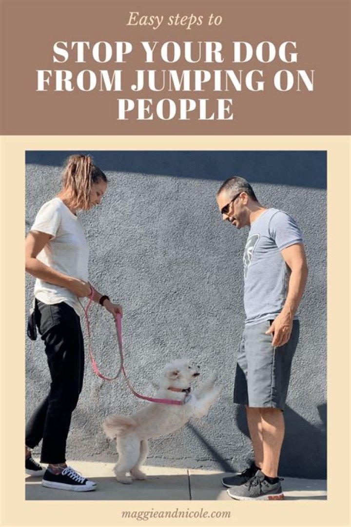 Cesar Millan's Secret Way to Stop Your Dog From Jumping on People