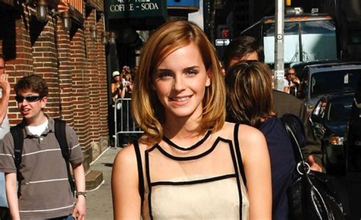 David Letterman Showed Emma Watson Photo of Her "Wardrobe Malfunction"