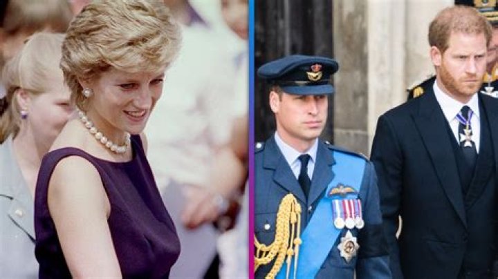 Diana Would Have Healed William and Harry's Rift, Says Royal Biographer
