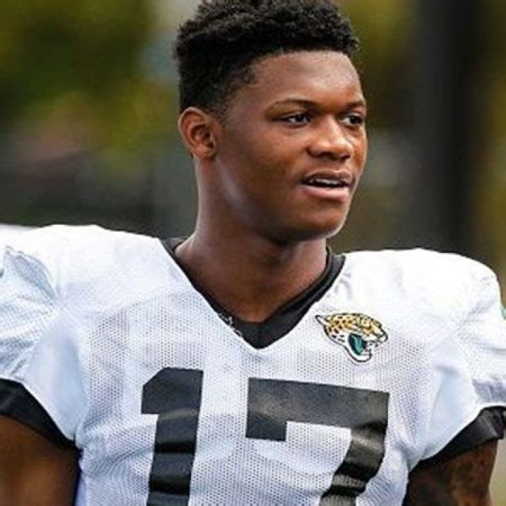 DJ Chark Biography- NFL player, Contract, Salary, Earnings, Net worth, Married, Relationship, affair, Girlfriend, Age, Height