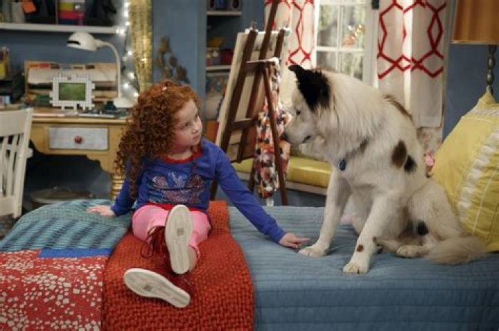 FRANCESCA CAPALDI – Celeb Secrets