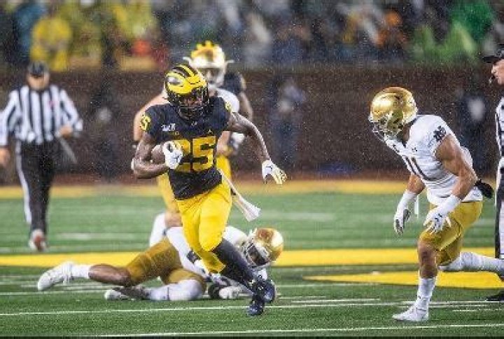 Hassan Haskins Bio, Age, NFL Draft, Stats, Salary, Net Worth, & Contract