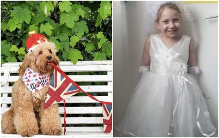 Here Are the Wackiest Ways People Are Celebrating the Royal Wedding