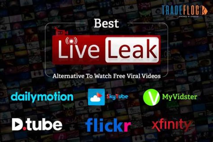 Hot LiveLeak video statistics