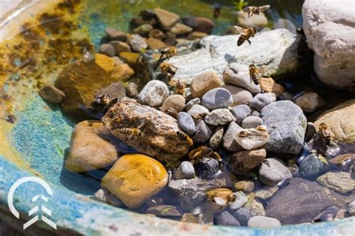 If You're Using This in Your Yard, the CPSC Says Stop Immediately