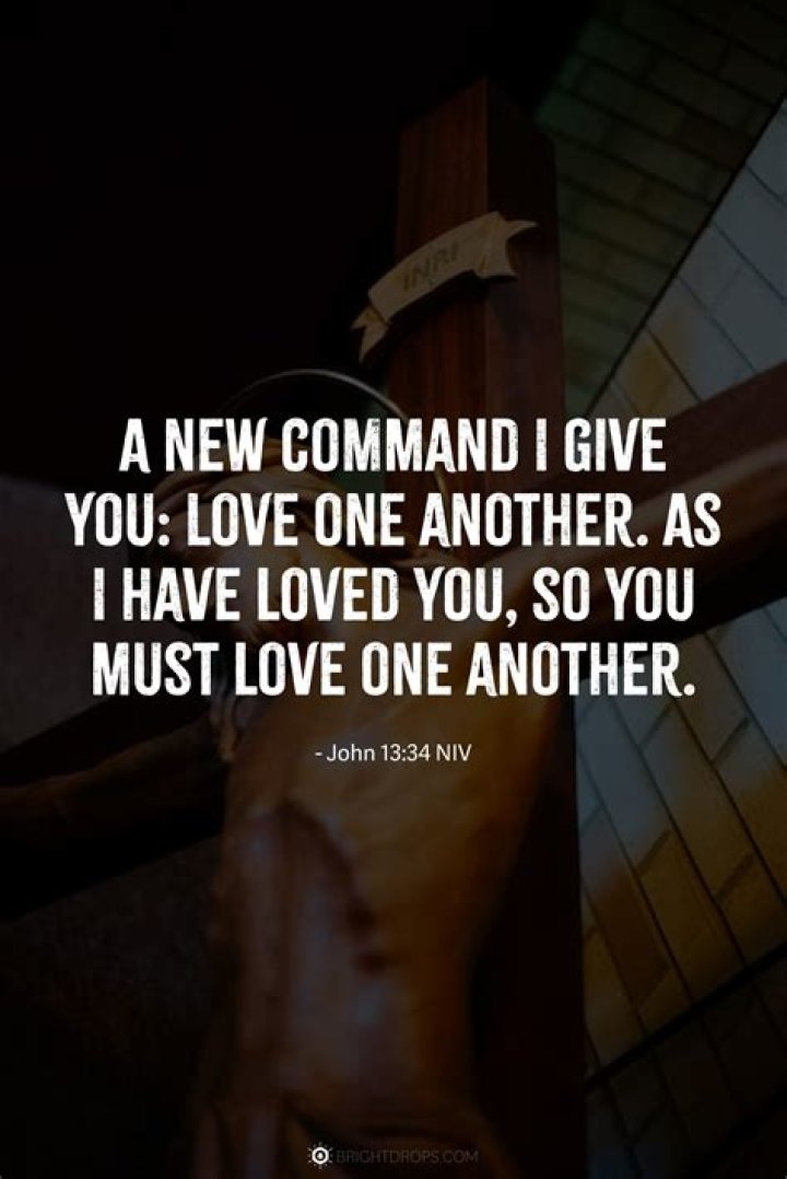 If You Have This in Your Yard, You May Be Attracting Mice to Your Home