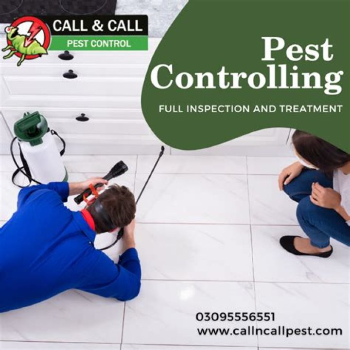 If You Smell This in Your Home, Call Pest Control, Experts Warn