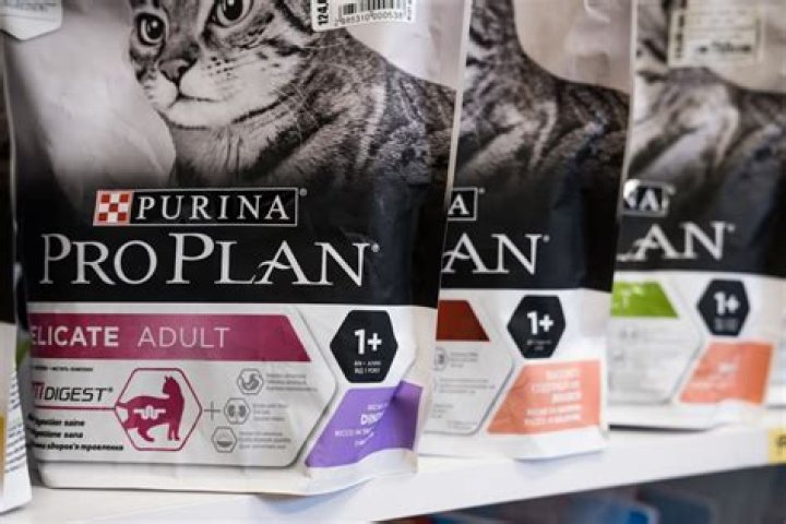 Is Purina Making Dogs and Cats Sick? — Best Life
