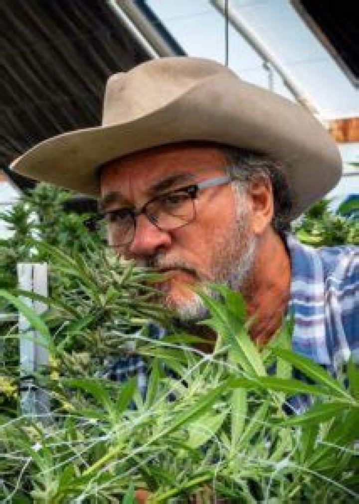 Jim Belushi Height, Weight, Family, Facts, Spouse, Education, Biography