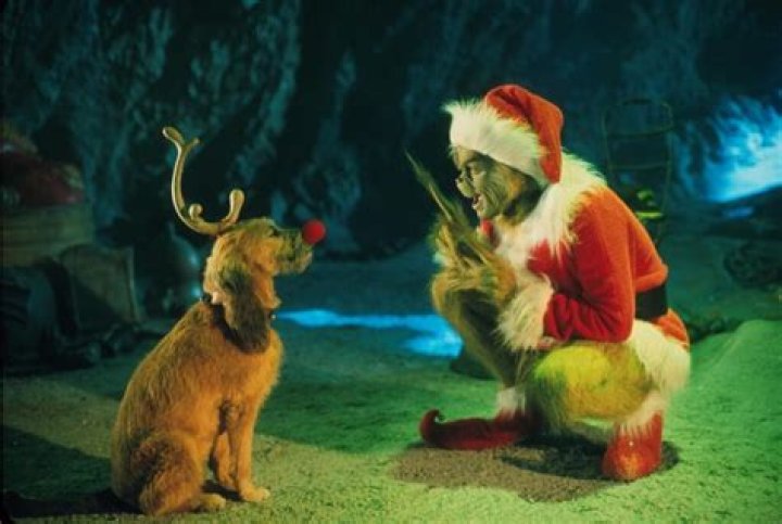 Jim Carrey Trained With CIA Torture Expert to Play the Grinch