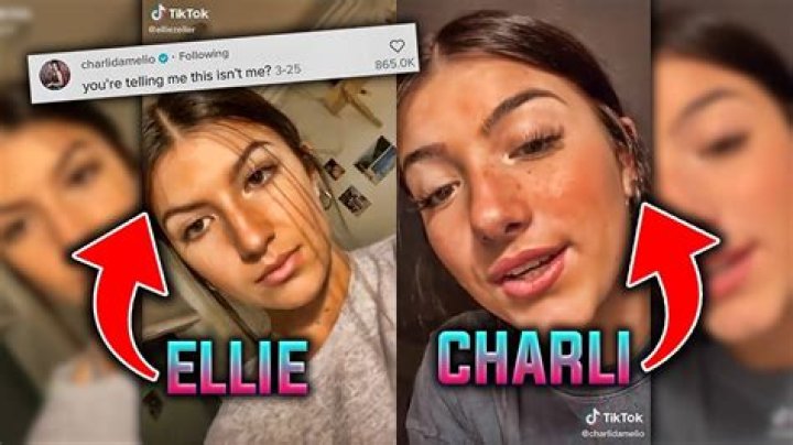 Little-Known Facts About Ellie Zeiler, Charli D'Amelio's Look-Alike On TikTok