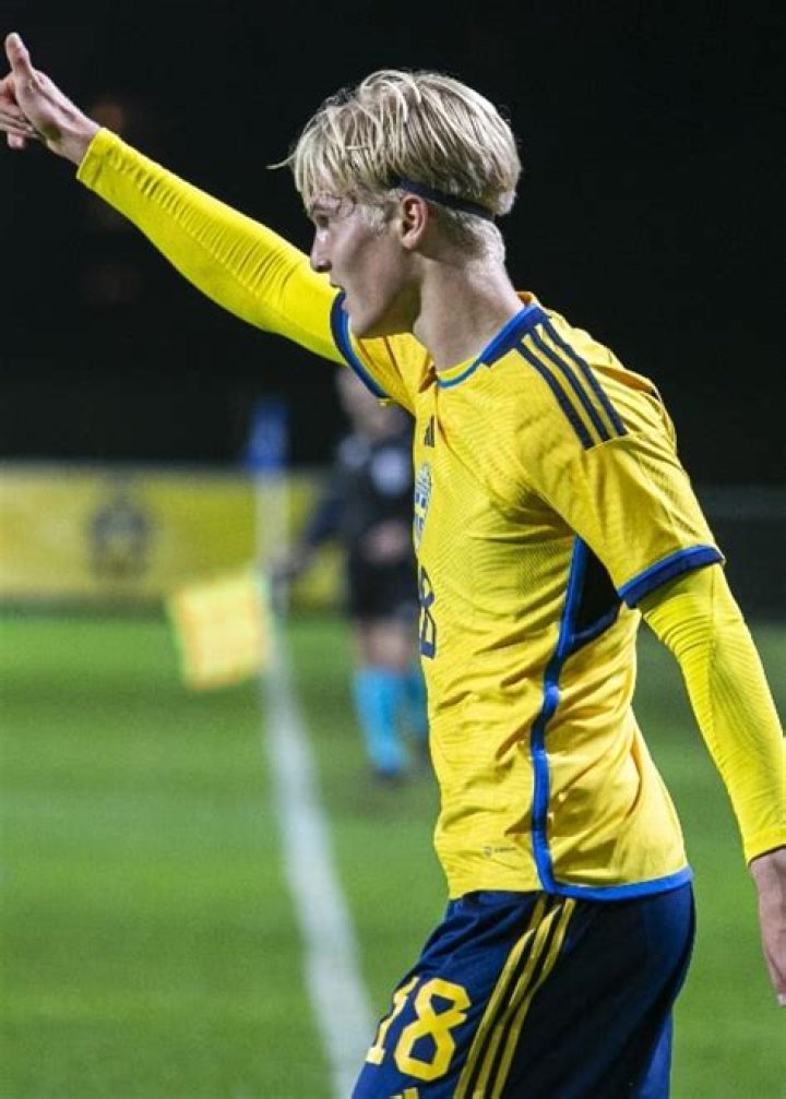 Lucas Bergvall Height, Weight, Age, Facts, Biography