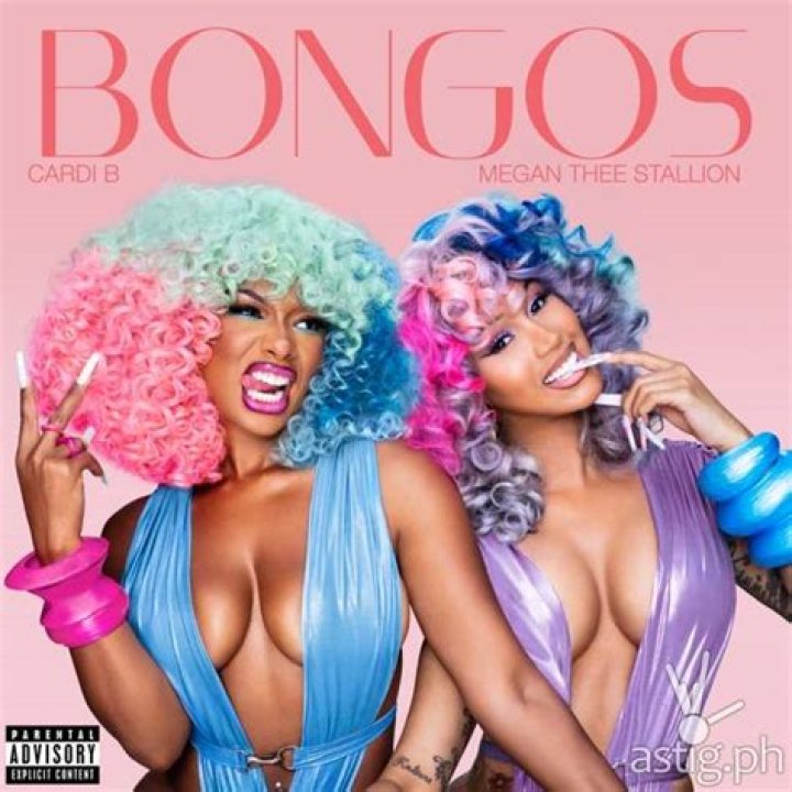 Megan Thee Stallion and Cardi B Announce New Collab Single “Bongos” – Celeb Secrets