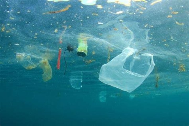 Our Oceans Are Turning into Plastic… Are We?