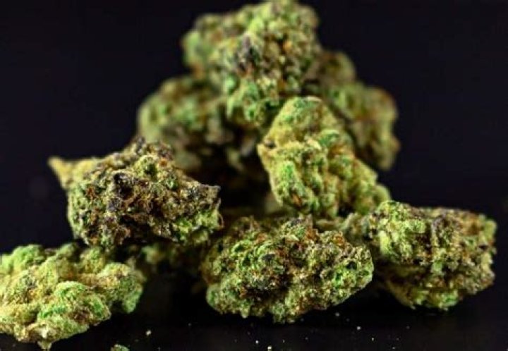 Review of the Born Marijuana Cannabis Club