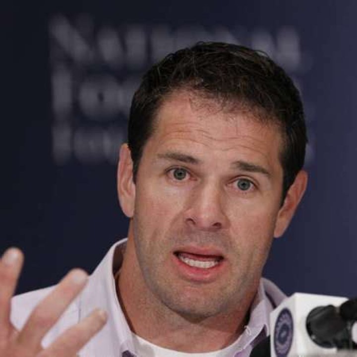 Roy Nelson Bio - affair, married, spouse, salary, net worth, bio, career, children