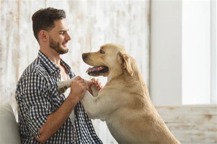 Science Says Your Dog Adopts Your Personality Over Time — Best Life