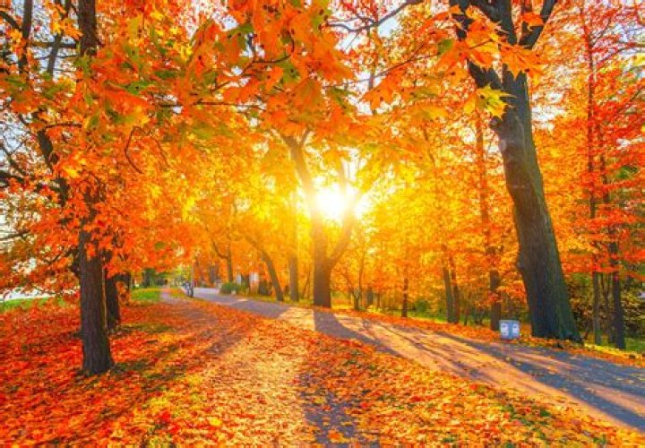 See Stifler From "American Pie" Now at 45 — Best Life