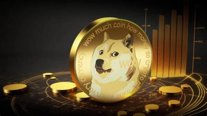 The Creator Of Ethereum Was Unwittingly Gifted Half Of A Dog Meme Cryptocurrency. That Gift Is Now Worth $14 Billion