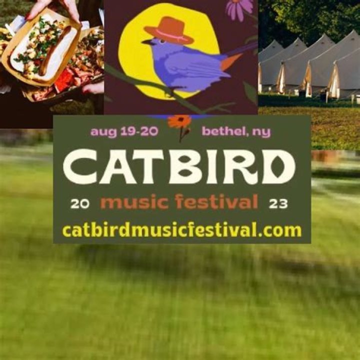 The Lumineers, Tyler Childers, & The War On Drugs Lead The Lineup For The Inaugural Catbird Music Festival