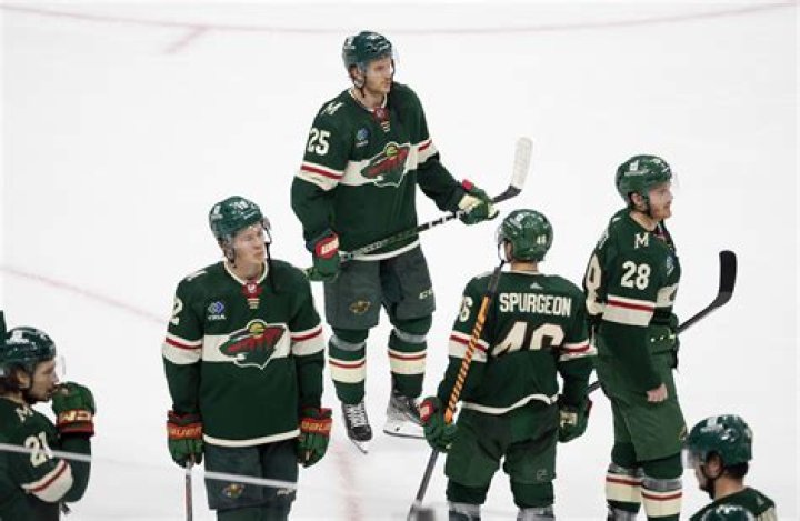 the Minnesota Wild's Forward Pontus Aberg Bio, salary, net worth, career, earning, relationship, affair, facts