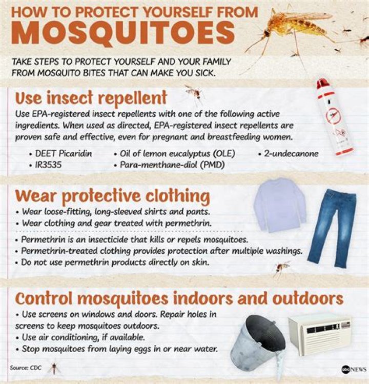 The No. 1 Thing Attracting Mosquitoes to Your Yard