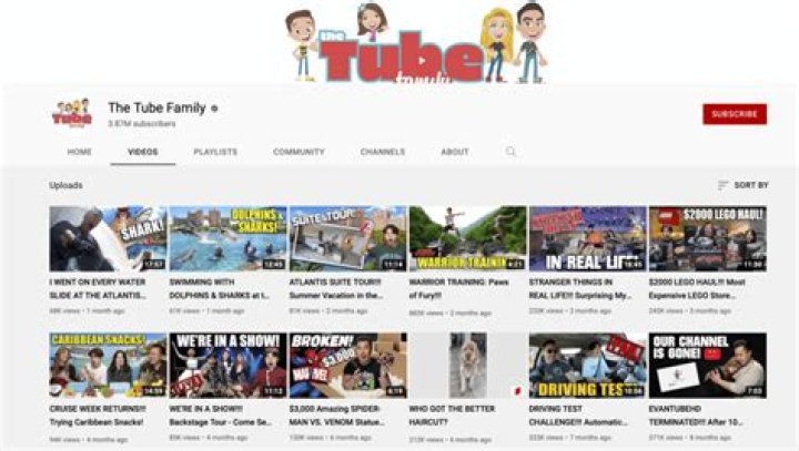 The Tube Family Youtuber overview