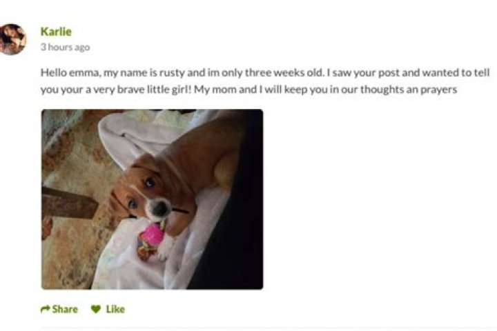 This Terminally Ill Little Girl Is Asking People to Send Her Letters from Their Dogs