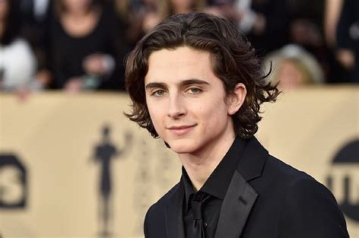 Timothée Chalamet Net Worth | Celebrity Net Worth