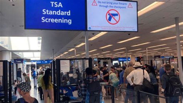 TSA Issues New Alert For Those Traveling With Pets Through Security