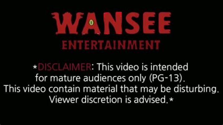 Wansee Entertainment video statistics