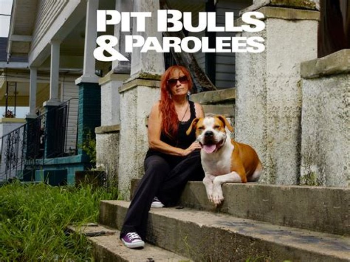 What Happened to Moe on Pit Bulls and Parolees?