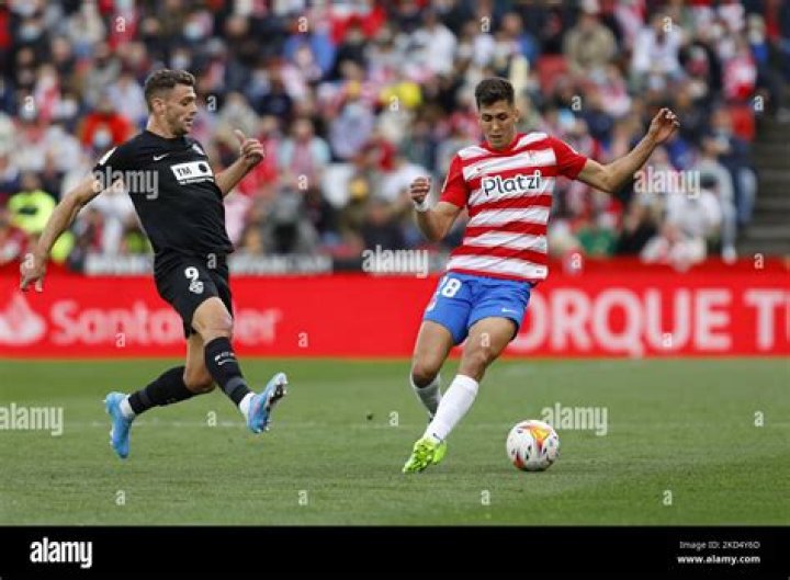 Who Is Elche Footballer Lucas Boye's Girlfriend? His Salary, Net Worth, Age, Height, Trasnfer, Market Value, Parents, Instagram